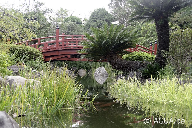Yeomiji Botanical Garden