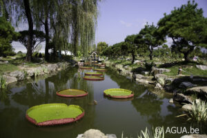 Semiwon Botanical Garden