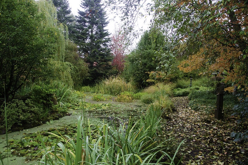 Hughes Water Gardens