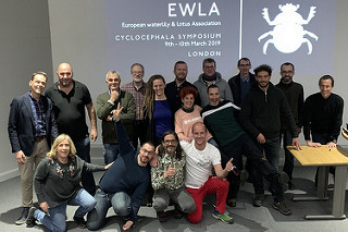 EWLA: Symposium London