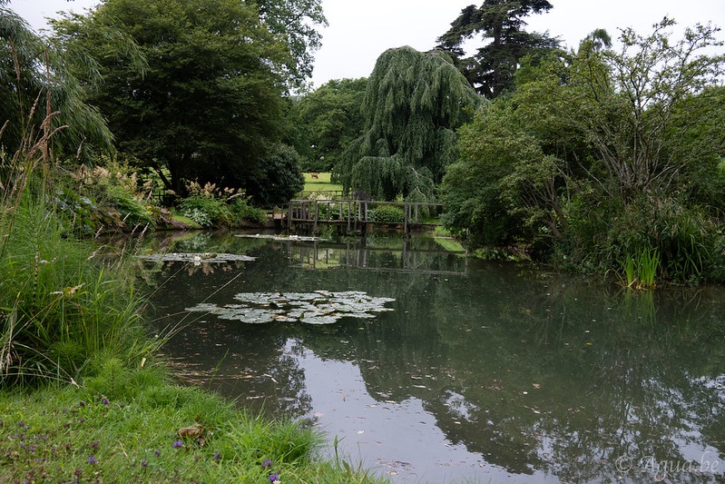 Sezincote garden