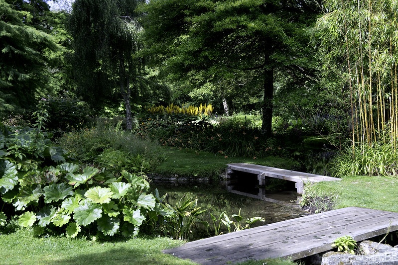 Longstock Park Water Garden