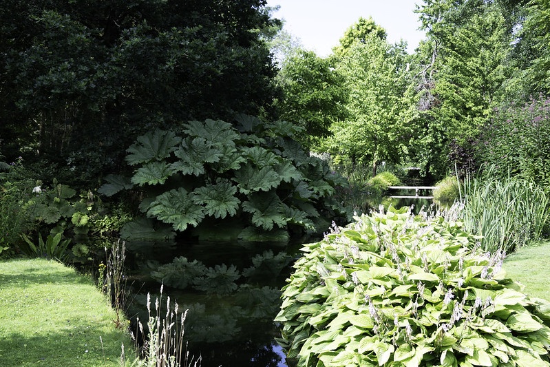 Longstock Park Water Garden