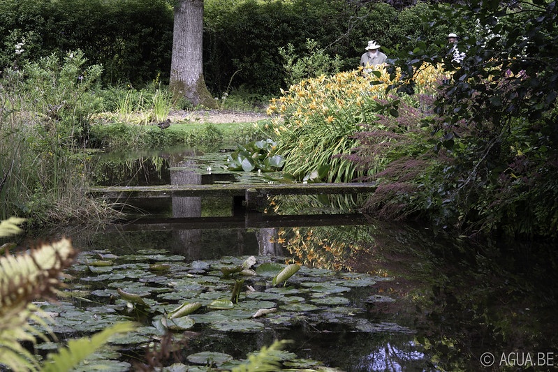 Longstock Park Water Garden