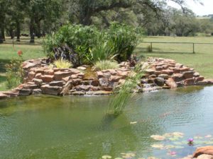 Midway Water Gardens