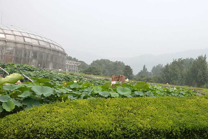 Beijing Botanic Gardens