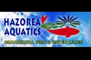 Hazorea Aquatics