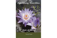 Hybridizing Waterlilies
