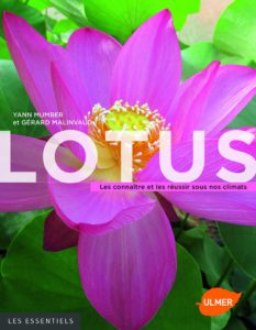 Lotus Les Connaitres