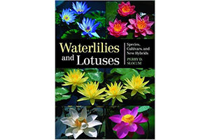 Waterlilies&Lotuses